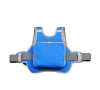 Universal Motorcycle Adjustable Safety Belt for Kids with Storage Bag Rear Seat Grab Handle Strap Harness Child Reflective Strip(Blue)
