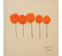 L.S. Dunes - Past Lives [VINYL]