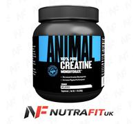 Universal Nutrition Animal Creatine, powder, 500 g
