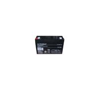 Universal Power UB6120F2 D5778 6V 12Ah Sealed Lead Acid Replacement Battery