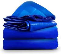 Universal Premium Cover 120 GSM Tarpaulin, Tarp with Eyelets KAV Blue One Size