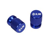 Universal Stem Dust Covers For SYM JOYMAX Z 125/250/300 MAXSYM 400i 600i TL500 CRUiSYM 300 GTS 300i T2 T3 Joyride 200 Logo Wheel Tire Valve Caps Cover(Y-4)