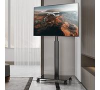 Universal TV Stand Mobile/Rolling TV Cart with Wheels for 32-55 Inch TVs, Portable Floor TV Stand Holds Up to 40kg/88Lbs, Max VESA 400x400mm Decoration