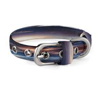 Universe Galaxy Outer Space Dog Collar Adjustable Pet Collar Stainless Steel D-Ring Collar Oxford Cloth Cat Collar Strap with Metal Buckle for Small Medium Dog