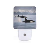 Unkhtt Killer Whales Swim Along Print Night Light for Bedroom Bathroom Nightlight Illumination Home Decor Safety Lighting