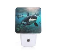 Unkhtt Killer Whales Swim Along Print Night Light for Bedroom Bathroom Nightlight Illumination Home Decor Safety Lighting