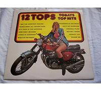 Unknown Artist - 12 Tops Todays Top Hits - Volume 5 - 12" LP 1972 - Stereo Gold Award MER101