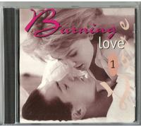 Unknown Artist - Burning Love 1 (CD Compilation, 20 Titel, Diverse Künstler) The Broken Hearted - Dave Stewart Featuring Collin Blunstone u.a.