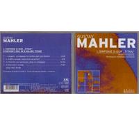 Unknown Artist - Gustav Mahler 1. Sinfonie D-Dur "Titan"