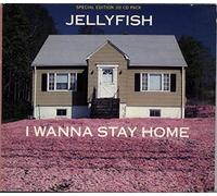 Unknown Artist - I WANNA STAY HOME CD UK CHARISMA 1991