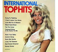 Unknown Artist - International Tophits [Vinyl LP]