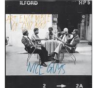Unknown Artist: Nice Guys