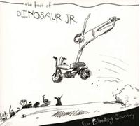 Unknown - DINOSAUR JR. - EAR BLEEDING COUNTRY - THE BEST OF: 2CD EXPANDED DIGIPAK EDI (1 CD)