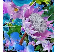 Unknown Error - The Yearning [VINYL]