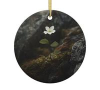 Unknown Flower Patterned ceramic Christmas ornaments - round. Suitable for Christmas trees, holiday parties, and home décor