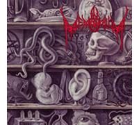 In Memorium & Lost To Antiquity - Lost to Antiquity