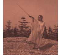 UNKNOWN MORTAL ORCHESTRA II 2013 LP VINYL NEW 33RPM