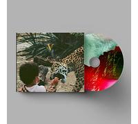 Unknown Mortal Orchestra - V