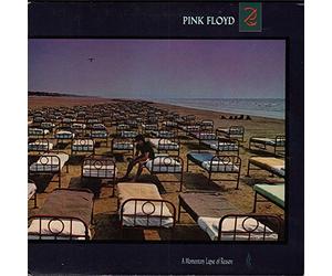 Unknown - PINK FLOYD - A MOMENTARY LAPSE OF REASON (REMASTERED) (1 LP)
