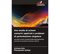 Uno studio di schemi numerici applicati a problemi di perturbazione singolare: Uno studio numerico di equazioni differenziali singolarmente perturbate che presentano strati interni e limitrofi