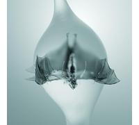 Unprocessed - Angel