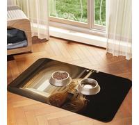 Unreal Engine Cello Pet Feeding Mat Dog Cat Eating Food Absorbent Leather Tablecloth for and Water Bowl Waterproof No Stains Quick Dry Non-Slip 23.62 * 15.75IN