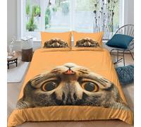 UNRXJZLVM 3D Printed Cute Cat Duvet Cover Microfiber Bedding Cartoon Bedroom Decor Cat Print Bedding Set Soft Skin-Friendly for Teens Double（200x200cm）