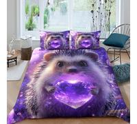 UNRXJZLVM Magical Hedgehog 3D Printed Duvet Cover Microfiber Bedding Set for Adults Teens Soft Breathable Bedroom Decor Single（135x200cm）