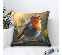 UNRXJZLVM Robin Bird Cushion Cover Set of 1 Decorative Machine Washable Pillowcases Square Pillow Cases with Invisible Zipper Cushion Covers for Sofa Car Bed Outdoor Decor Throw Pillow Cases 40x40cm