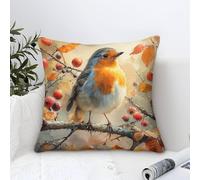 UNRXJZLVM Robin Bird Cushion Cover Set of 1 Decorative Machine Washable Pillowcases Square Pillow Cases with Invisible Zipper Cushion Covers for Outdoor Home Bed Decor Throw Pillow Cases 45x45cm