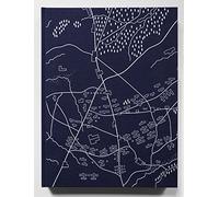 Unseen Waterloo: The Conflict Revisited: 100