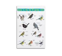 UNSGA Vintage Birds Science Posters Ten Garden Birds Poster Decorative Painting Canvas Wall Posters And Art Picture Print Modern Family Bedroom Decor Posters 12x18inch(30x45cm)