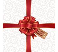 Untie Your Mind Christmas Edition: 120 Mixed Brain Teasers - Wordsearch, Number Search, Sudoku, Crosswords and more