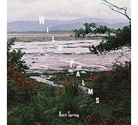 Until Spring - Wild Palms [VINYL]