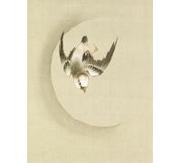 Untitled Bird Painting Notebook: Yoshizawa Setsuan: Japanese Woodblock Journal Series
