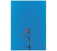 Untitled [Japanese Import]