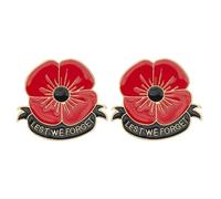 UNVOJL 2pcs Poppy Brooches Lest We Forget Poppy Flowers Brooches Pins Remembrance Sunday Red Flower Breastpins for Unisex