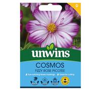 Unwins 8200 Cosmos Fizzy Rose Picotee