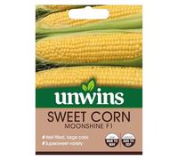 Unwins 8207 Sweet Corn Moonshine F1