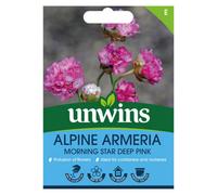Unwins Alpine Armeria Morning Star Deep Pink