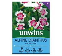Unwins Alpine Dianthus Arctic Fire Easy To Grow Seeds