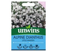 Unwins Alpine Dianthus Little Maiden Easy To Grow Seeds