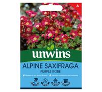 Unwins Alpine Saxifraga Purple Robe Easy To Grow Seeds