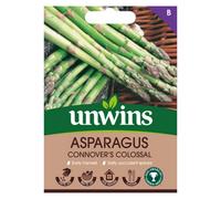 Unwins Asparagus Connover's Colossal Easy To Grow Seeds