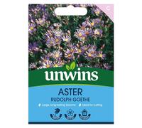 Unwins Aster Rudolph Goethe