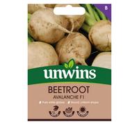 Unwins Beetroot Avalanche F Easy To Grow Seeds