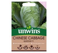 Unwins Cabbage Chinese Questar F Easy To Grow Seeds