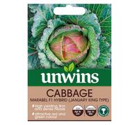 Unwins Cabbage Round Marabel F Easy To Grow Seeds