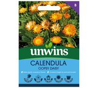Unwins Calendula Oopsy Daisy Easy To Grow Seeds