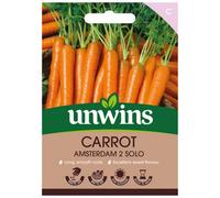 Unwins Carrot Amsterdam Solo Easy To Grow Seeds